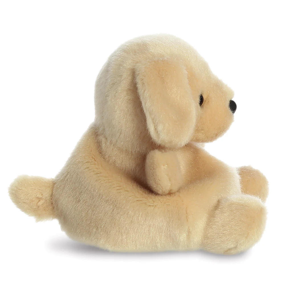 Sunny Lab™ - Image 3