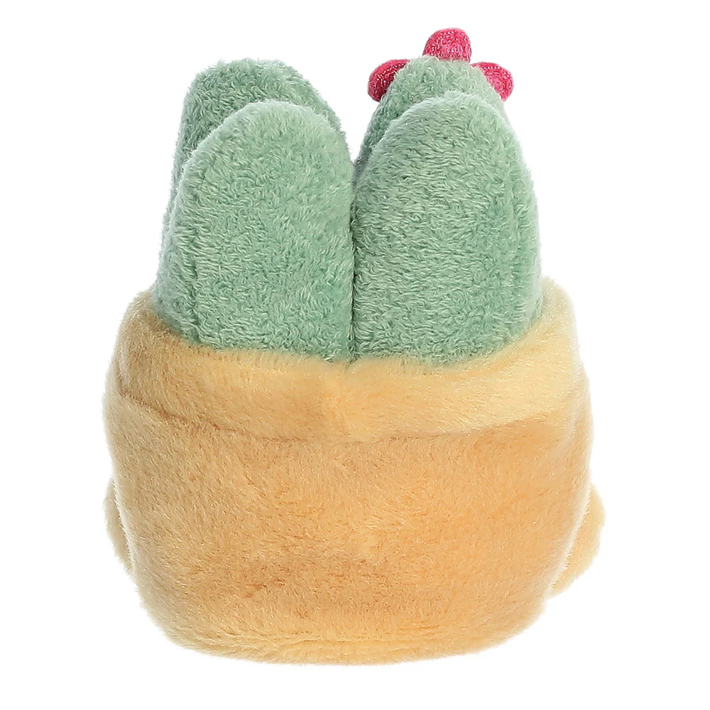 Seyla Succulent™ - Image 5