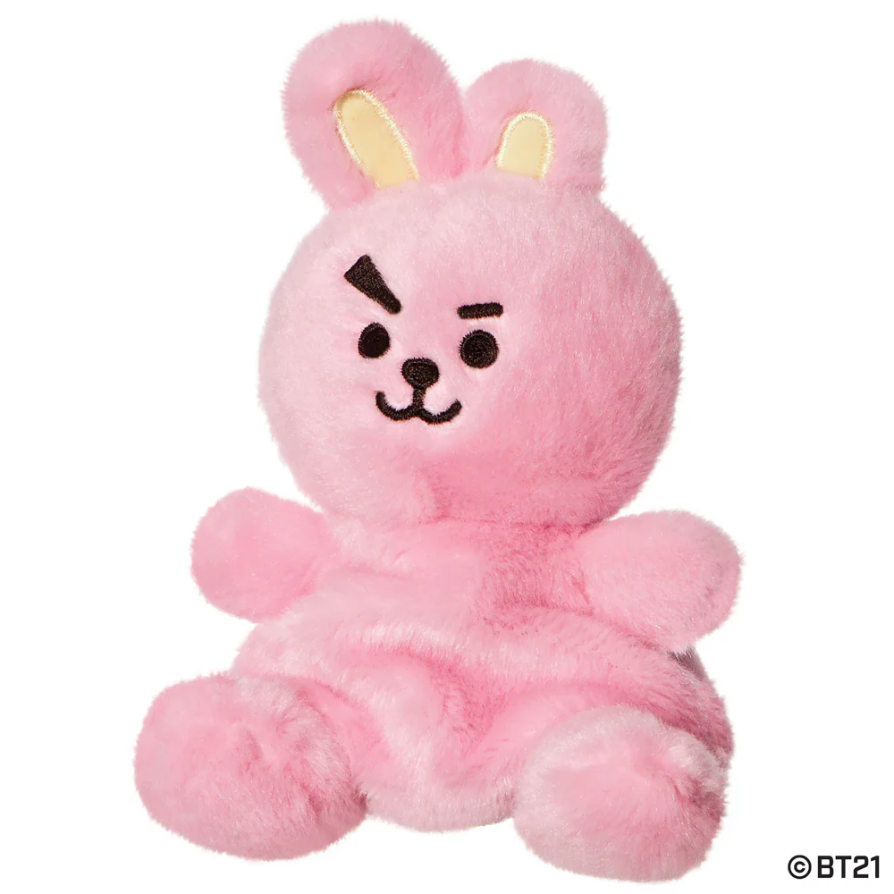 COOKY - Image 4
