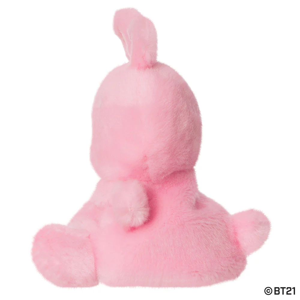 COOKY - Image 5