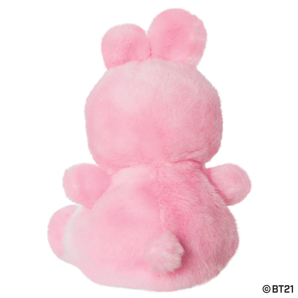 COOKY - Image 7
